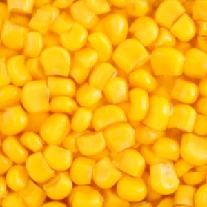 Maïs sucré en conserve en saumure goût authentique qualité - Product Image 3