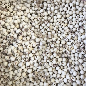 Graines de lotus blanc de meilleure qualité séchées avec soin, idéales pour les marques d'aliments et les fournisseurs d'ingrédients haut de gamme - Product Image 2