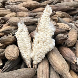 ใยนุ่นธรรมชาติสำหรับรังนกและหมอนทำจากใยนุ่นแห้งทั้งตัว - Product Image 4