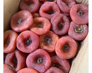 ลูกพลับอบแห้งจากเวียดนามที่มีรสหวานและเนื้อนุ่มพร้อมส่งลูกพลับแห้งสำหรับผู้ซื้อทั่วโลก - Product Image 6