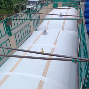 20 '40' contenedor Flexitank Flexibags para transporte marítimo tierra líquido transporte camión remolque Flexitank - Product Image 6