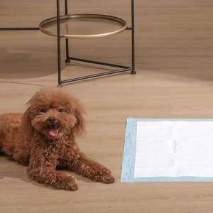 Alèses jetables super absorbantes anti-fuites pour chien, tapis d'apprentissage pour chiot - Product Image 2