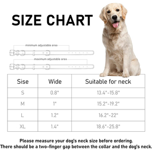 Top Trendy Latest Design Premium Quality Fancy Leather Dog <b>Collar</b> and Lead Hand Wholesale Manufacturer - Product Image 6