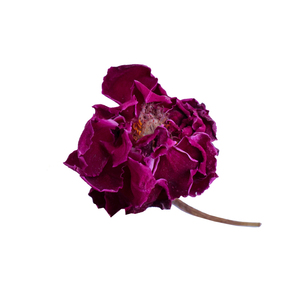 Sacs d'emballage standard pakistanais Gulab Phool Pati Qualité d'exportation de qualité A1 Séchage au soleil de fleurs rouges roses sèches - Product Image 2