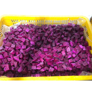 Cubes de fruits du dragon congelés du Vietnam fournisseur pour l'exportation disponible en chair rouge ou blanche emballé en vrac avec vente en gros - Product Image 3