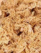 POLVO DE MUSGO DE MAR IRLANDÉS PURO SUPERALIMENTO ORGÁNICO PARA APOYO INMUNE Y TIROIDES - Product Image 2