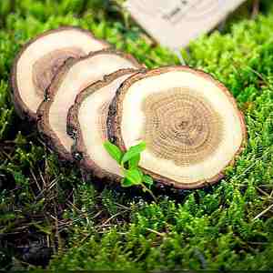 Fabriqué en Inde Sublimation Coaster Blanks Noyer Bois de manguier Conception personnalisée Haute demande Qualité - Product Image 3