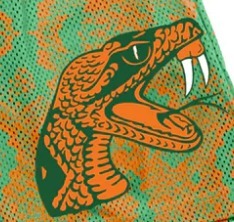 Florida A & M University Men's XXS Gym Shorts Transpirable Impermeable Floral Bordado Lana Custom Mid Casual Eco-Friendly - Product Image 2