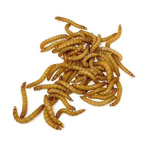 Harina de pescado 100% pura al por mayor 65% para alimentación animal - Product Image 2