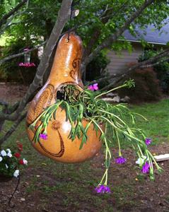 MEILLEURE VENTE Jardinières à gourde sèche: Décor écologique pour les maisons durables. Artisanat DE HAUTE QUALITÉ-LOTUS BLEU - Product Image 5