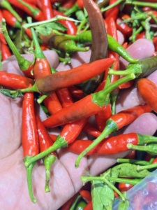 Chile Rojo Fresco Crudo Capsicum Frutescens, Exportador de Vietnam, Chile Ojo de Pájaro Picante, Alta Picantez, 30 kg/paquete, Precio al por Mayor - Product Image 4