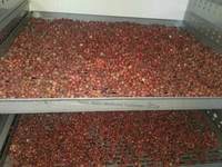 Déshydrateur industriel de fruits et de viande, pompe à chaleur pour aliments, sécheuse tout-en-un, prune, mangue, légumes, machine de séchage avec PLC