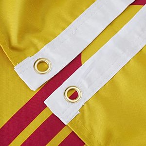 Drapeau du Nouveau-Mexique 3x5 pieds, double face, 3 couches, polyester, fabriqué aux États-Unis par USA TOP FLAGSINC avec 2 attaches en laiton - Product Image 5