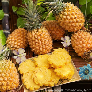 IQF Frozen <b>Pineapple</b> Chunks from Vietnam Sweet MD2 Variety Bulk & Retail Packing Available - Product Image 5