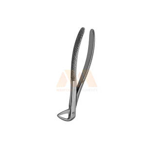 Fórceps de Extracción Dental con Patrón Inglés, Herramienta Dental Clínica Duradera, Fórceps para Extracción de Dientes - Product Image 6
