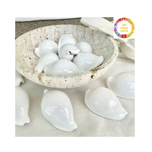Venta al por mayor de cauri blanco de primera calidad tamaños grandes y pequeños de Vietnam para la decoración del hogar y obras de arte DIY - Product Image 6