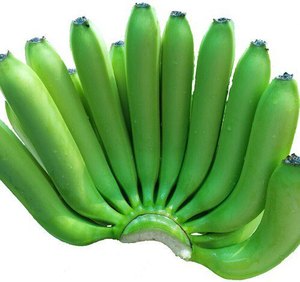 Qualité d'exportation de banane Cavendish fraîche pour l'agriculture et l'utilisation des plantes en stock meilleur prix livraison rapide bas prix en gros - Product Image 1