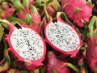 Tropische Schat 100% Pure Verse Dragon Fruit uit Binh Thuan, Vietnam, met 60 dagen houdbaarheid voor wereldwijde markten