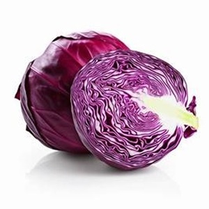 Very Compact, Round Heads <b>Fresh</b> <b>Cabbage</b> for Culinary and Industrial Use at Farm Prices - Product Image 2