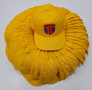 Haute qualité toile 5 panneaux casquette de sport conception de camionneur classique pour l'été Logo personnalisé Baseball maille chapeau pour voyage loisirs décontracté - Product Image 4