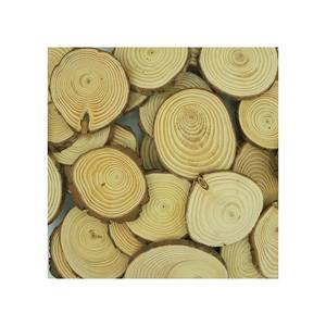 Bulk Natural <b>Wooden</b> <b>Slices</b> Rustic, Eco-Friendly, and Perfect for Weddings - Product Image 6