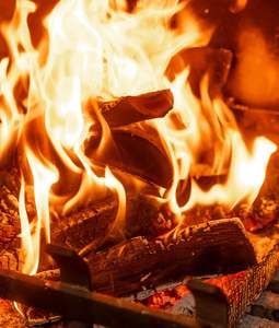 Organic <b>Oak</b> Hardwood Firewood Beech <b>Oak</b> Firewood <b>Logs</b> 25 Cm 33 cm Kiln Dried Firewood - Product Image 6