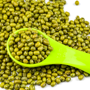 Haricots Mung Entiers Indiens de Qualité Export, Certifiés Sans OGM, Asie du Sud-Est, Durée de Conservation de 24 Mois, Riches en Fibres et Nutriments, FitTree - Product Image 4