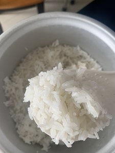 Arroz blanco orgánico jazmín vietnamita 5% roto de grano largo y corto fragante arroz seco fresco textura dura sin OGM para uso alimentario - Product Image 4