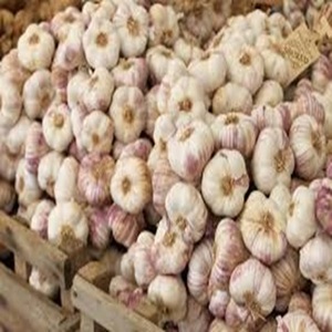 Garlics สดที่มีคุณภาพดีเยี่ยมในราคาที่ดีที่สุด - Product Image 4