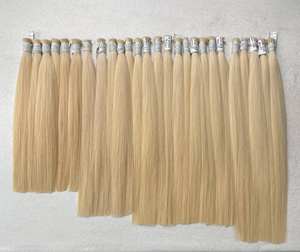 Top Qualité Cheveux Humains Vietnamiens En Vrac 100G Vague Droite #613 Bleach Blonde Pour Salon Pour Tressage - Product Image 2