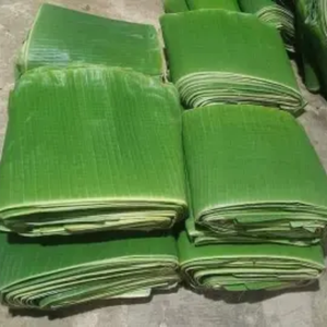 ใบตองแช่แข็งสดและสะอาดพร้อมส่งออกทั่วโลก - Product Image 3