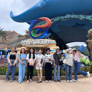 Женский комплект из двух предметов: теннисная юбка с высокой талией и плиссировкой, с цветными блоками, на молнии до середины груди, с длинным рукавом, с логотипом спереди (спандекс/хлопок) - Product Image 4