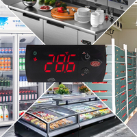 Termostato de Congelador Alternativo Carel, Relé de 30A, Alta Precisión, Controlador Digital para Equipos de Cámaras Frigoríficas