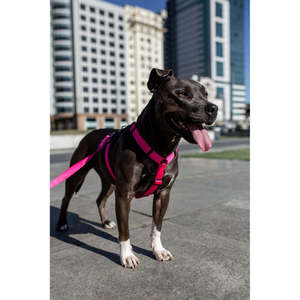 Simple Pink LED H-Harness with Solid Pattern for Dogs Application - Product Image 3