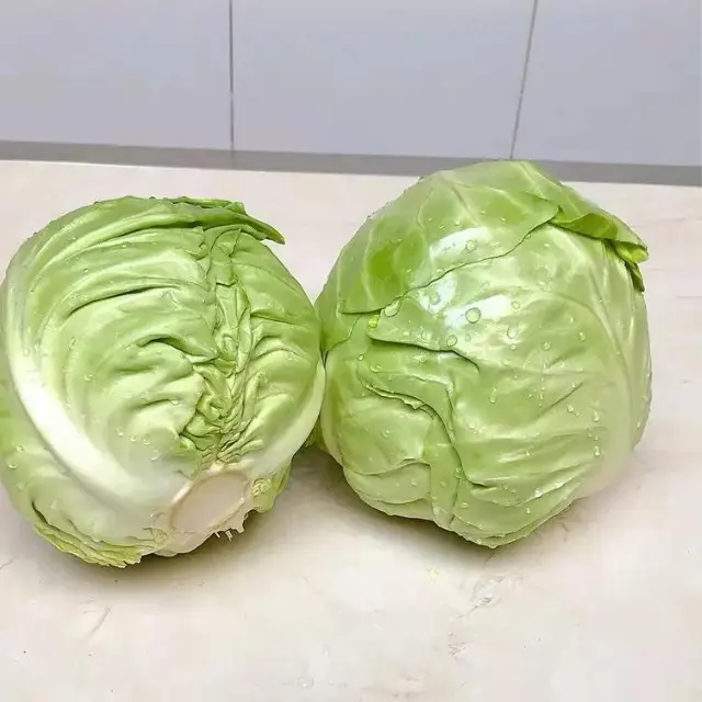 중국 공장 공급 신선한 야채 신선한 라운드 평면 cabbages 중국 양배추 씨앗 가격 판매