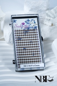 50% de réduction 5D Russian Volume Lashes Wispy, Dense & Perfect for High-Impact Eye Looks Longueur de 7mm à 16mm Vente en gros - Product Image 3