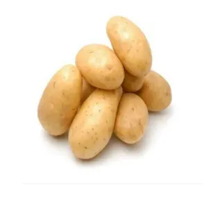 organicpotatopeelerssuppliers