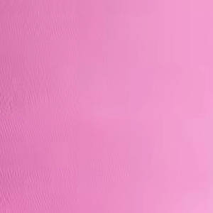 Nouveauté Shorts de yoga pour femmes en polyester/spandex, longueur cuisse, taille mi-haute, logo imprimé personnalisé, OEM, style urbain - Product Image 6