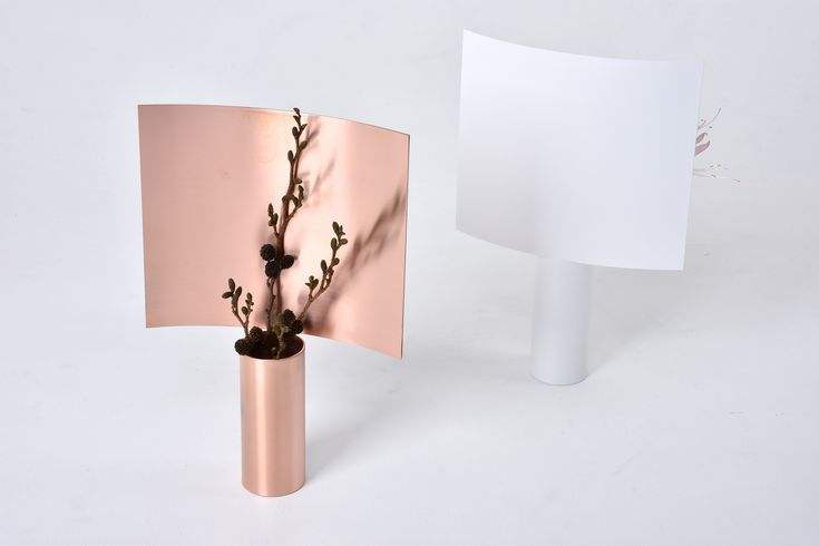 ตามที่แสดง