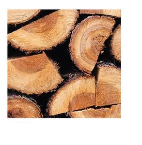 Bois de chauffage de marque personnalisée de haute qualité TH Origin à vendre en grandes quantités Bois dur sec pour le chauffage, la cuisine et le camping - Product Image 3