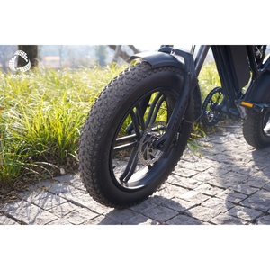 Vélo électrique chinois de haute qualité avec pneus larges, Ecoride Factory Dirte, vélo électrique 15ah à double moteur, vélo électrique V10 pour adultes - Product Image 3