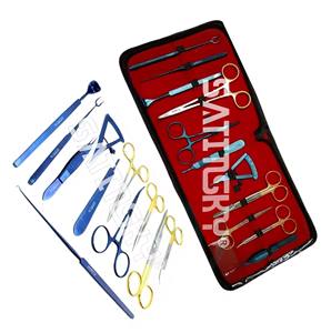 Kit de Blefaroplastia, Instrumentos de Cirugía Plástica de Alta Calidad, Juego de 11 Piezas, Instrumento Ortopédico Veterinario para Artroscopia - Product Image 1
