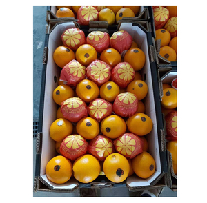 Origen de Egipto Exportación Cítricos frescos Deliciosas y dulces naranjas frescas de ombligo para compradores mayoristas a precio a granel - Product Image 1