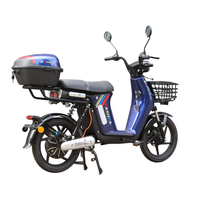 Moto électrique TIKING 800W avec batterie 48V20Ah et vitesse maximale de 45 km/h pour la livraison