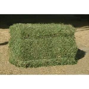 Fournisseurs de balles de foin d'alfalfa de qualité supérieure en gros, aliments pour animaux de qualité supérieure - Product Image 6