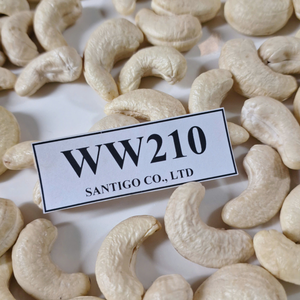 Noix et amandes SANTIGO Noix de cajou crues WW210 exportées au Moyen-Orient W210 Noix de cajou - Product Image 1