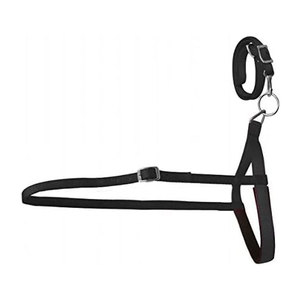 Noseband en nylon noir de qualité supérieure arrimage à sangle réglable culotte d'entraînement de cheval Western équitation baril course rodéo contrôle - Product Image 5