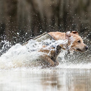 เสื้อกั๊กสำหรับสุนัขล่าสัตว์ เสื้อผ้าสุนัขล่าสัตว์ อุปกรณ์เสริมสำหรับนักล่าสัตว์ เสื้อกั๊กสำหรับสุนัขล่าสัตว์ Dog Life - Product Image 3