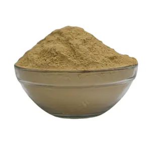 ผงสารสกัดจากราสนาออร์แกนิกบริสุทธิ์อาหารเสริมสมุนไพรที่ดีที่สุดสำหรับเพิ่มพลังงานพลังพลัง Herbojit ผลิตจากต่างประเทศในอินเดีย - Product Image 3