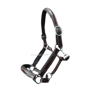 Selle anglaise personnalisée OEM Softy Cob complet rembourré pour poney bride surélevée collier anatomique cuir cousu fantaisie en vrac - Product Image 1